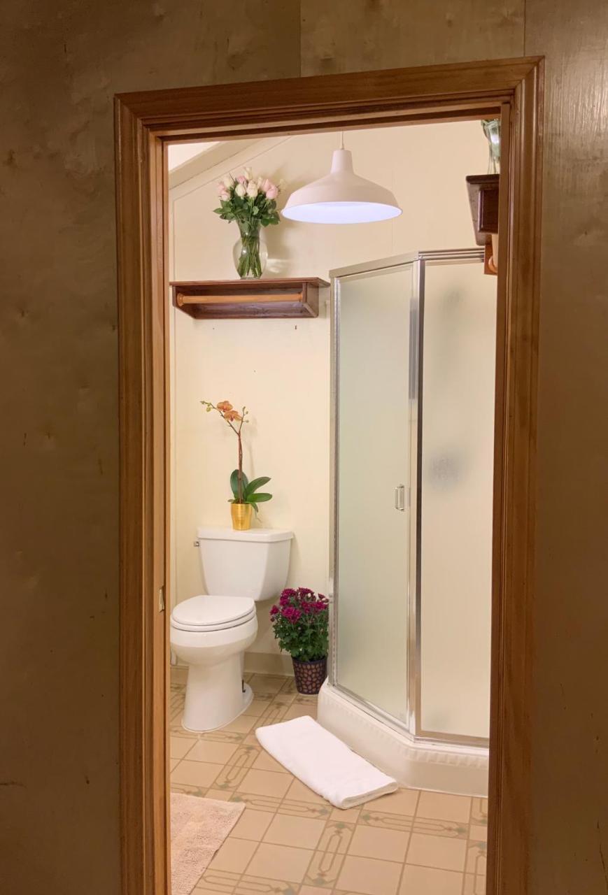 The Woods Hotel - Gay Lgbtq Cabins Ґернвілл Екстер'єр фото
